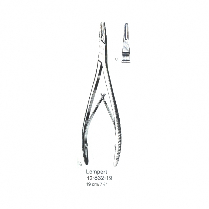 congue non eget libero