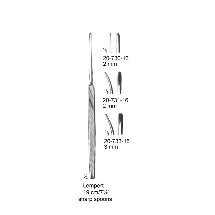 congue non eget libero