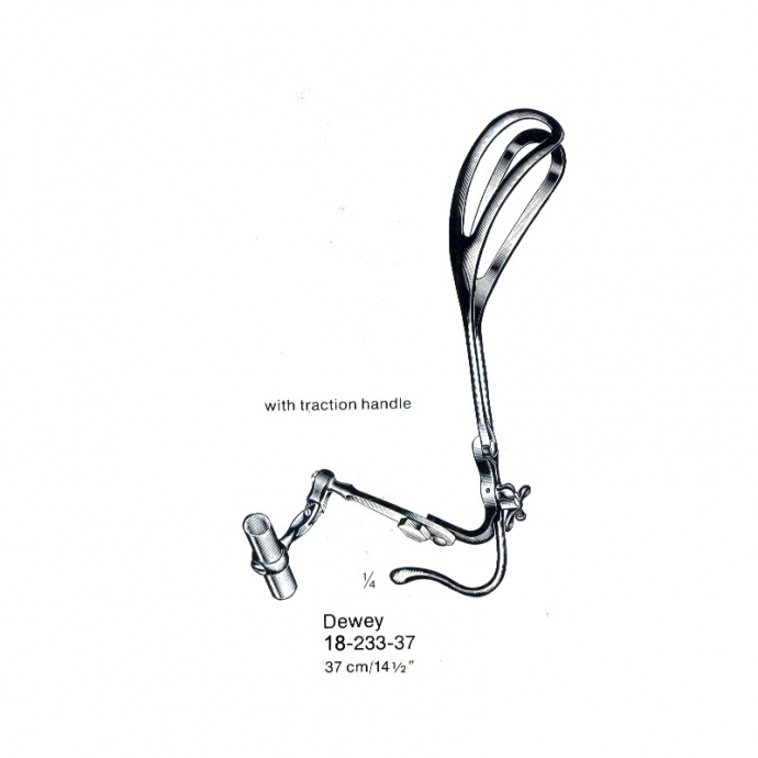 congue non eget libero